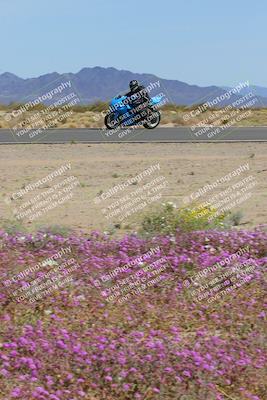 media/Mar-12-2023-SoCal Trackdays (Sun) [[d4c8249724]]/Turn 15 Inside Bloom (130pm)/